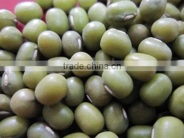 Organic Mung Bean