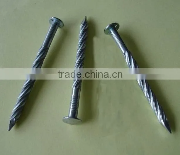 galvanized twisted shank nails factory