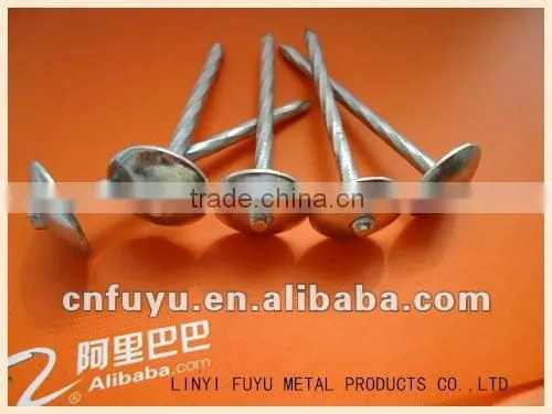 Roofing Nails for wood