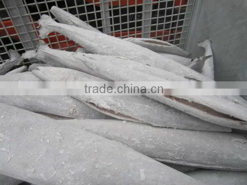 Spanish mackerel fillets