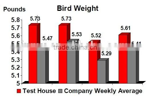 For poultry farm house automatic broiler chicken farm feeder