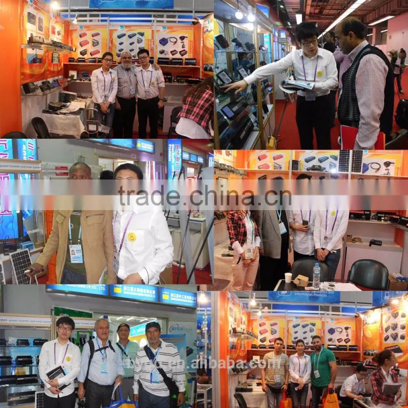 New design frequency micro dc ac inverter