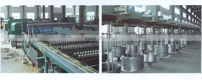 Hot Sell 1X19 Nylon Coated Steel Cable/ Wire Rope
