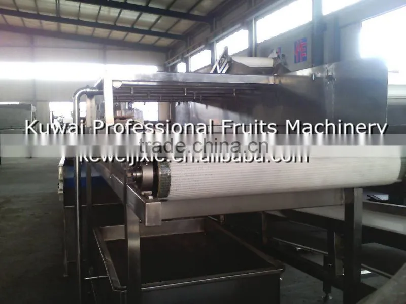 1 ton YXJ-1 Model high pressure spraying cleaner(Industrial fruits washer)