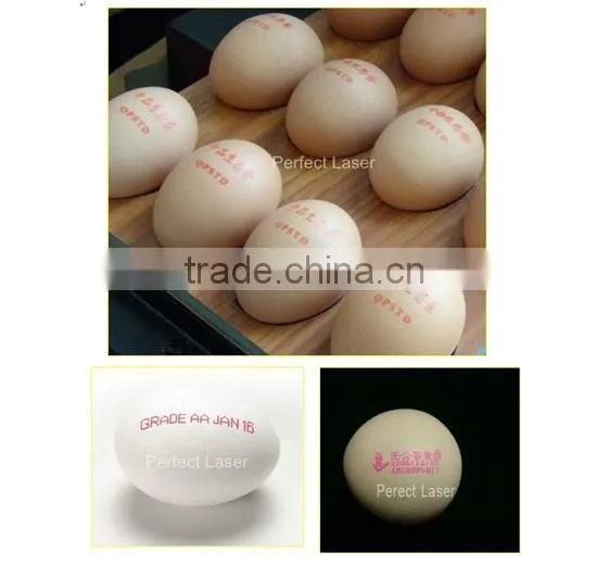 PM-500 Eggs Inkjet Printer