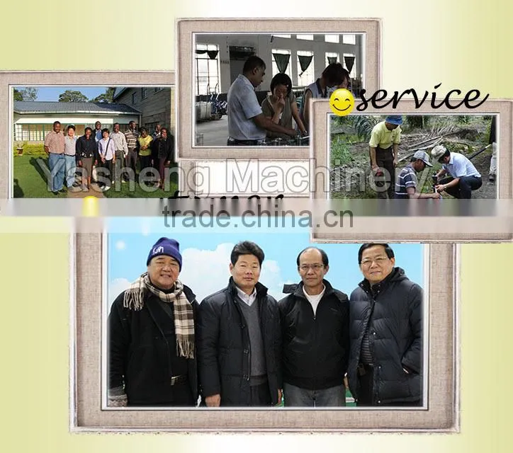 Hot Sale Tea Leaf Harvesting Machinery for Sale