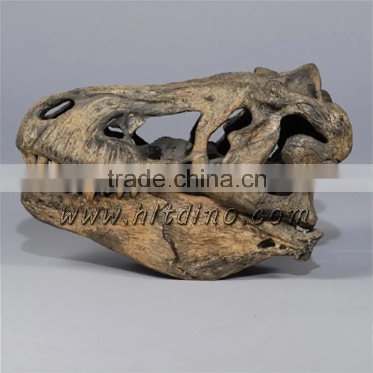 HLT dinosaur theme park dinosaur replica dinosaur skull sale