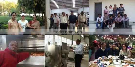 Continuous Peanut Fryer Frying Machine Nut Peanut Snacks Frying Production Line