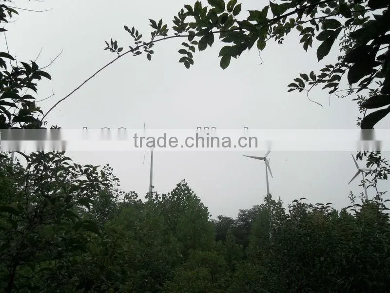 1000 W Windmill Generator 48V/96V