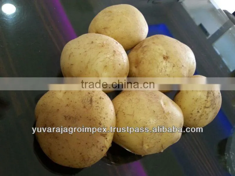 Elongated Potato