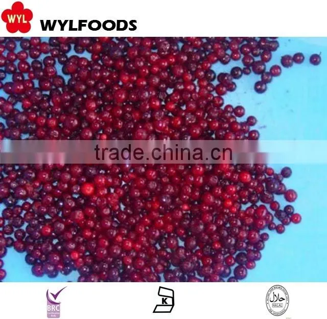 IQF china price for frozen linggonberry hot sales