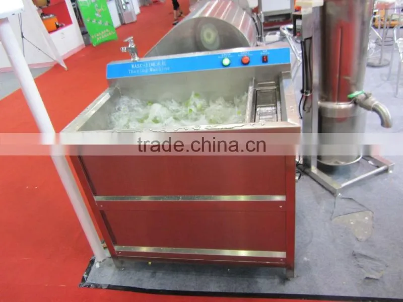 Full Automatic Industrial Ozone Meat Vegetable fruit Cleaner Washer Cleaning Machine