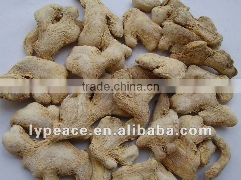 exporting delicious ginger powder with perfect quality