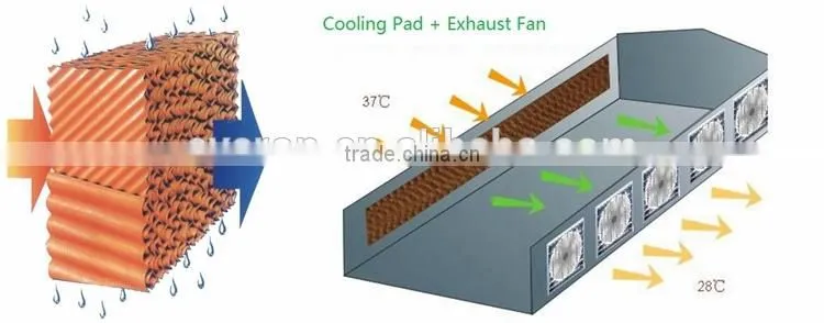 7090/5090 Poultry Cooling Cell Pad