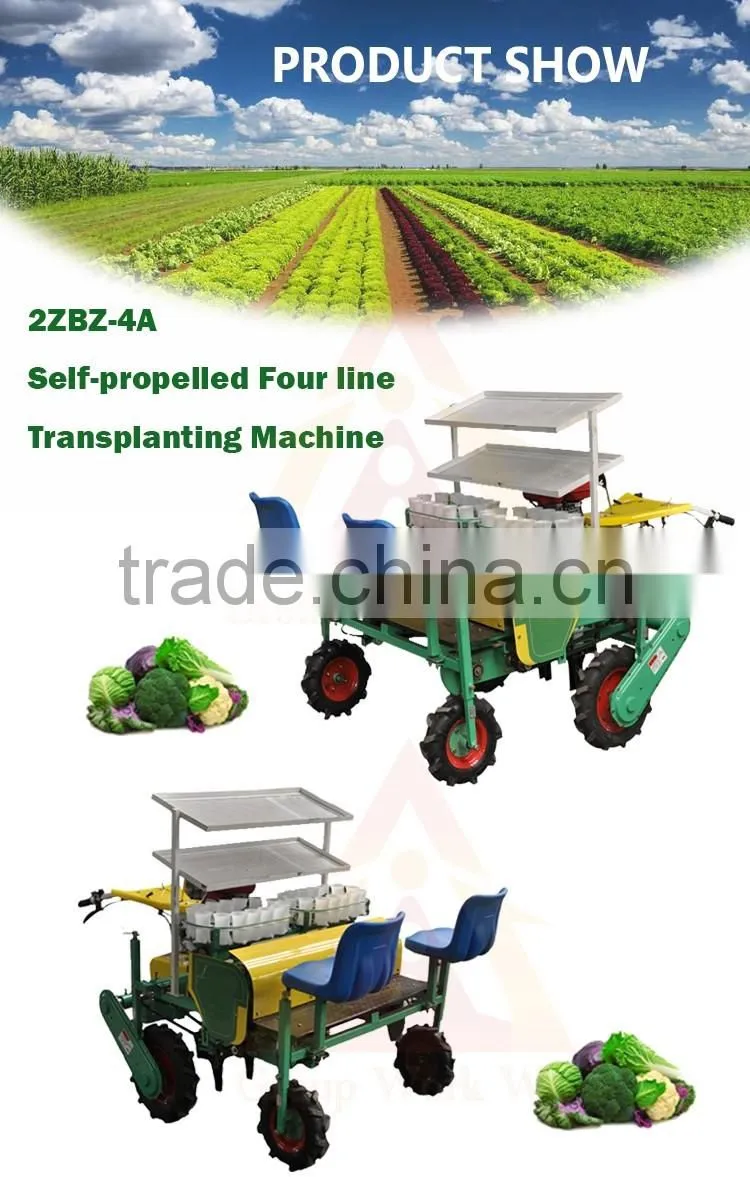 Chinese onion planter machine
