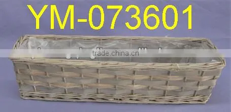 Cheap Garden Plant and Pot