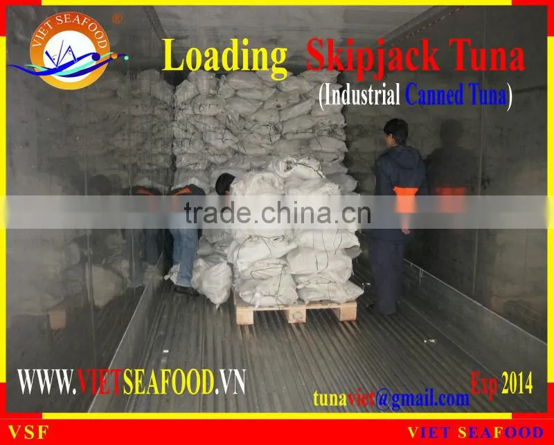 LOADING FROZEN SKIPJACK TUNA