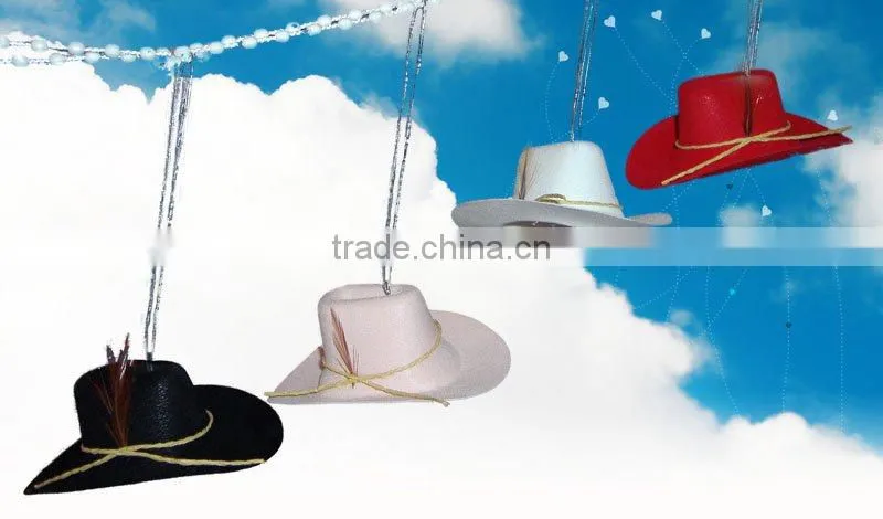 cowboy hat accessory