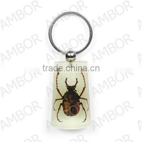 wholesale real flower and insect keychain promotional
