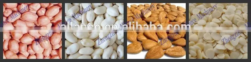 Exported to Negeria peanut skin removing machine for peanut processing