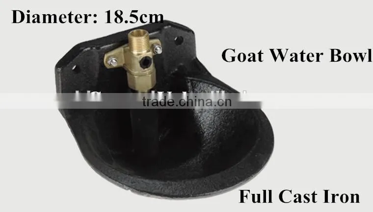 goat drinking bowl