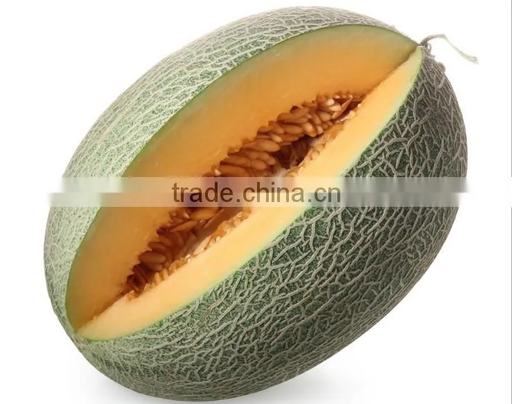 Fresh melon sweet melon price