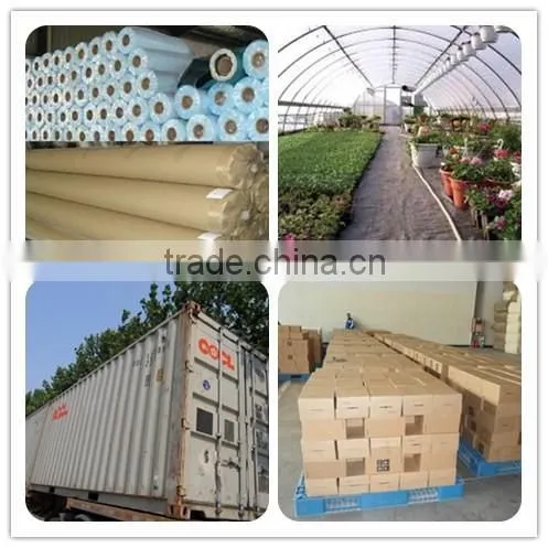 200 micron greenhouse film for agriculture