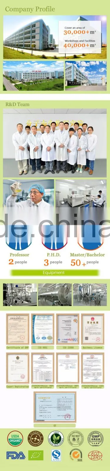 Korean Gineng Extract with good quality