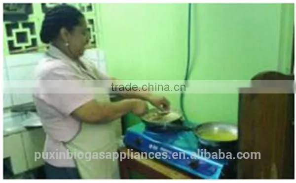 OEM best price portable double burner biogas stove for cooking