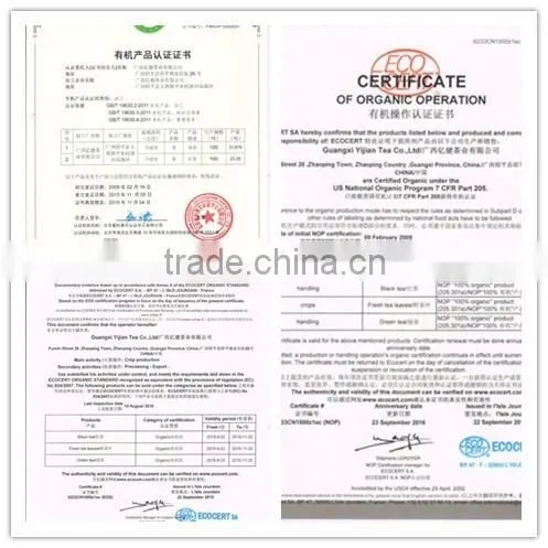 Superior Range of Organic Green Tea Available from Certified Henan Company