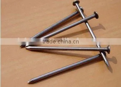 bright common iron nail with flat head