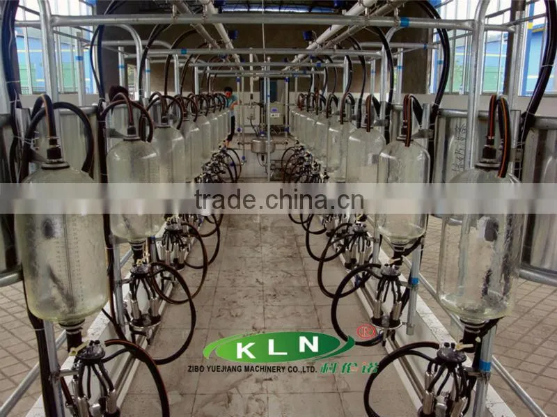 automatic milking machine system of fish-bone type
