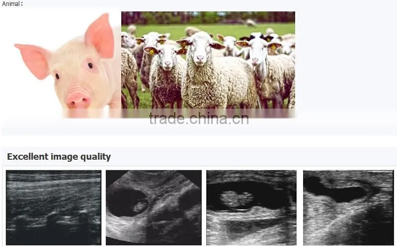 CE approved Palm HandScan Veterinary/VET Ultrasound Scanner/machine V7 with good price