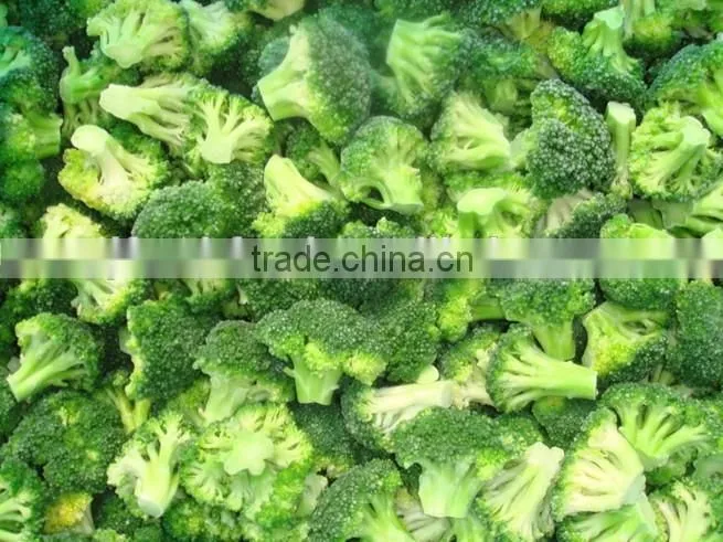 IQF Broccoli