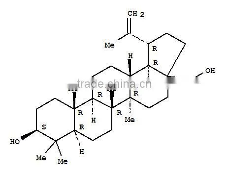 GMP Natural High Quality Birch Bark Extract Betulinic acid 98%