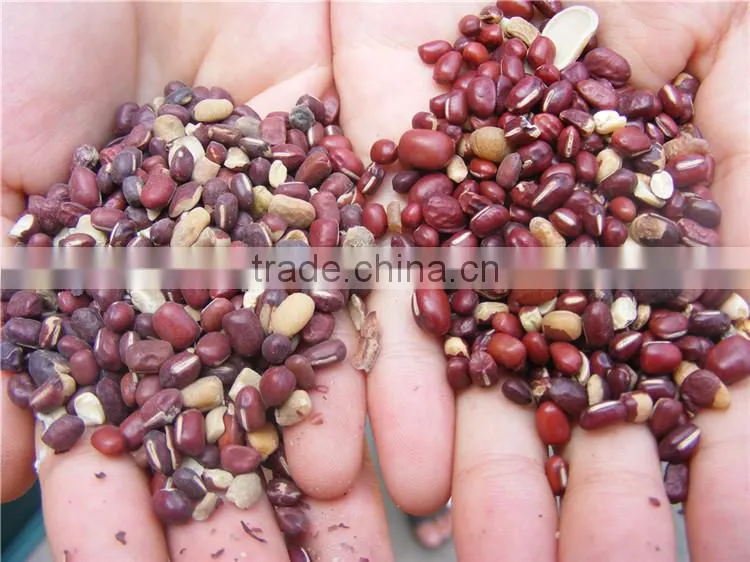 Green Mung Bean Polishing Machine