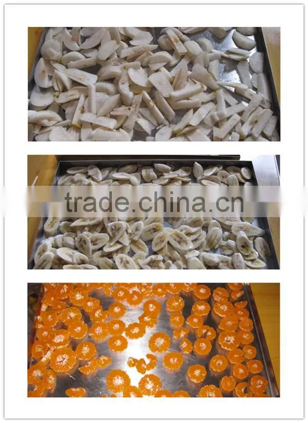 (KD) 3kg/24Hours Ordinary Mini Freeze Dryer Machine For Laboratory