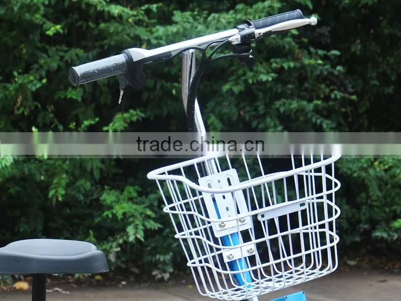 500W 48V12Ah Three Wheel Electric Scooter (HP105E-B)