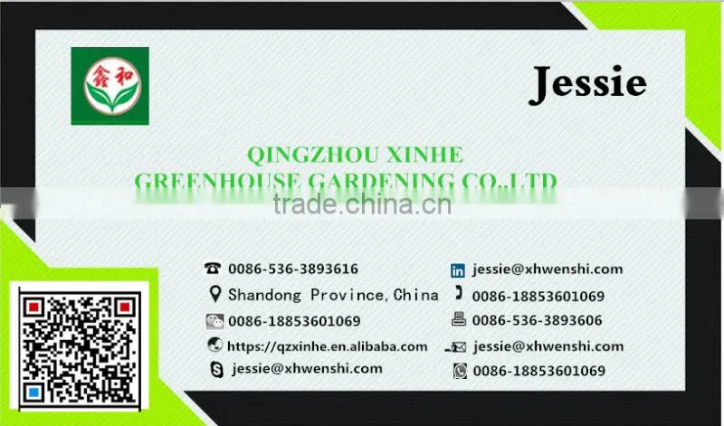 Customized Tunnel Greenhouse Wholesale
