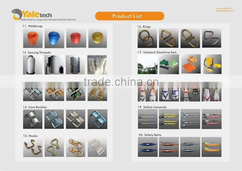 Cargo Lashing belt/ratchet tie down /lashing strap /ratchet strap with GS Certificate