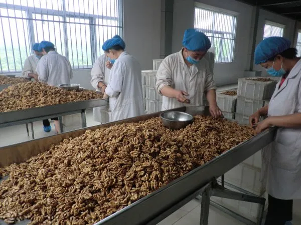 Hebei Suguo International Trade Co., Ltd company overview - view 1