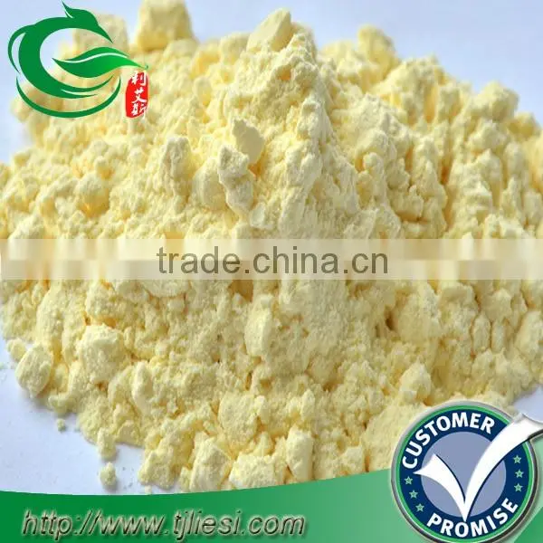supply ginder pwder for pungent spice