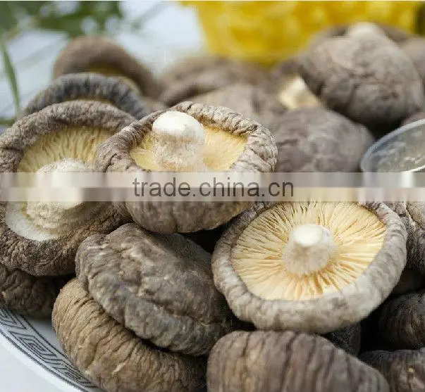 Edible Fungi Mushrooms ,Dried Shiitake Mushroom, Dried Mushrooms