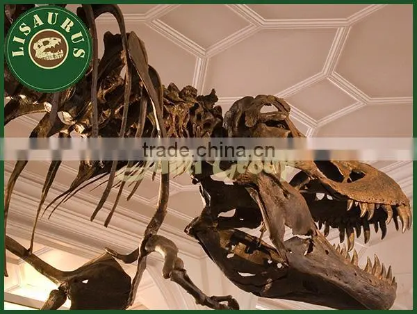 Lisaurus-0852 Display dinosaur skeleton mould model for sale