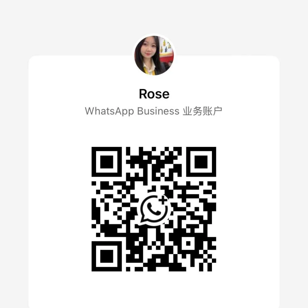 rose whatsapp.jpg.webp