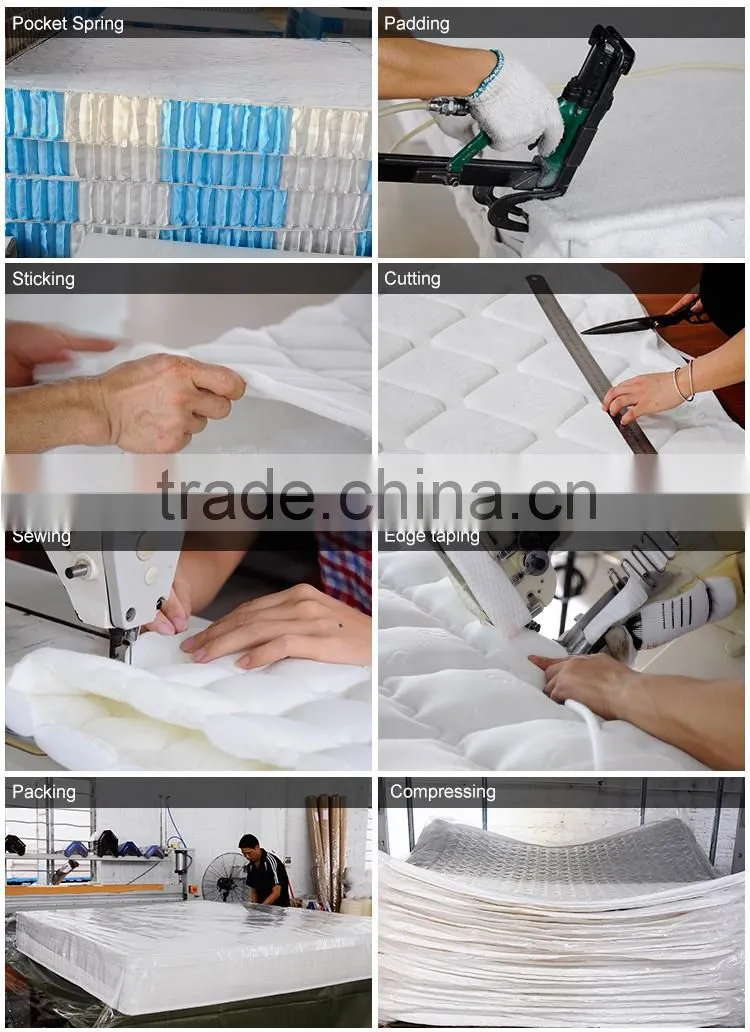 100% latex foam spring rolled mattress in a box