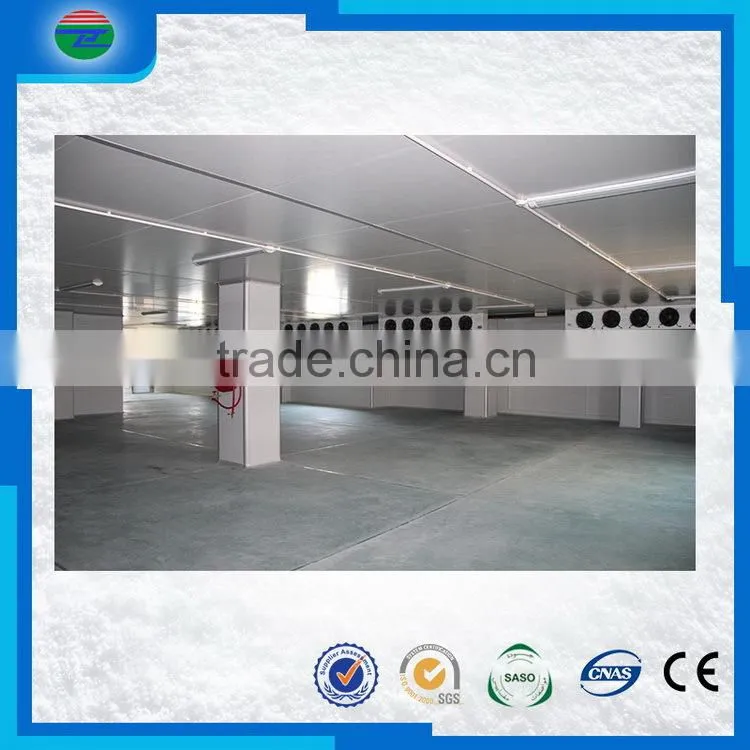 New products best Choice low temperature cold room/cold storage for fish