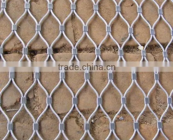 Stone/Rock Fall Protection Metal Wire Mesh(BV certification)