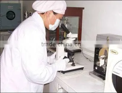 disposable customized paper tableware