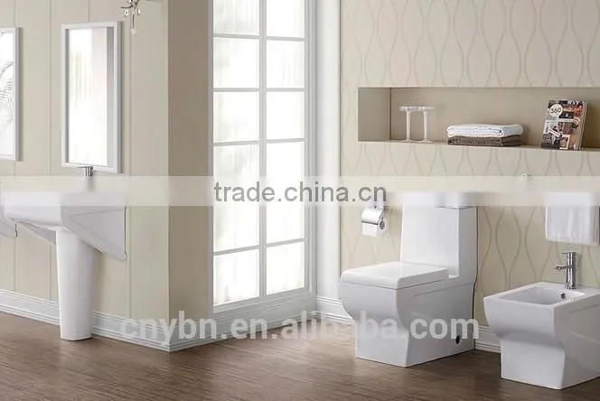sanitary ware bathroom suits